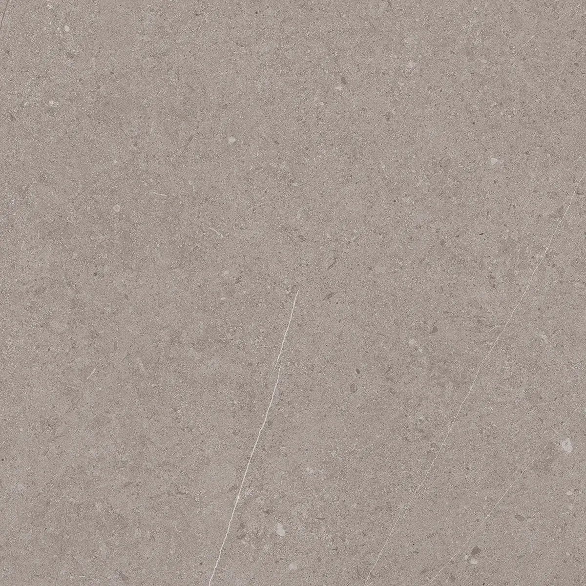 Керамогранит Jura Grey, 80×80 см, 8 мм, матовая, фото 3