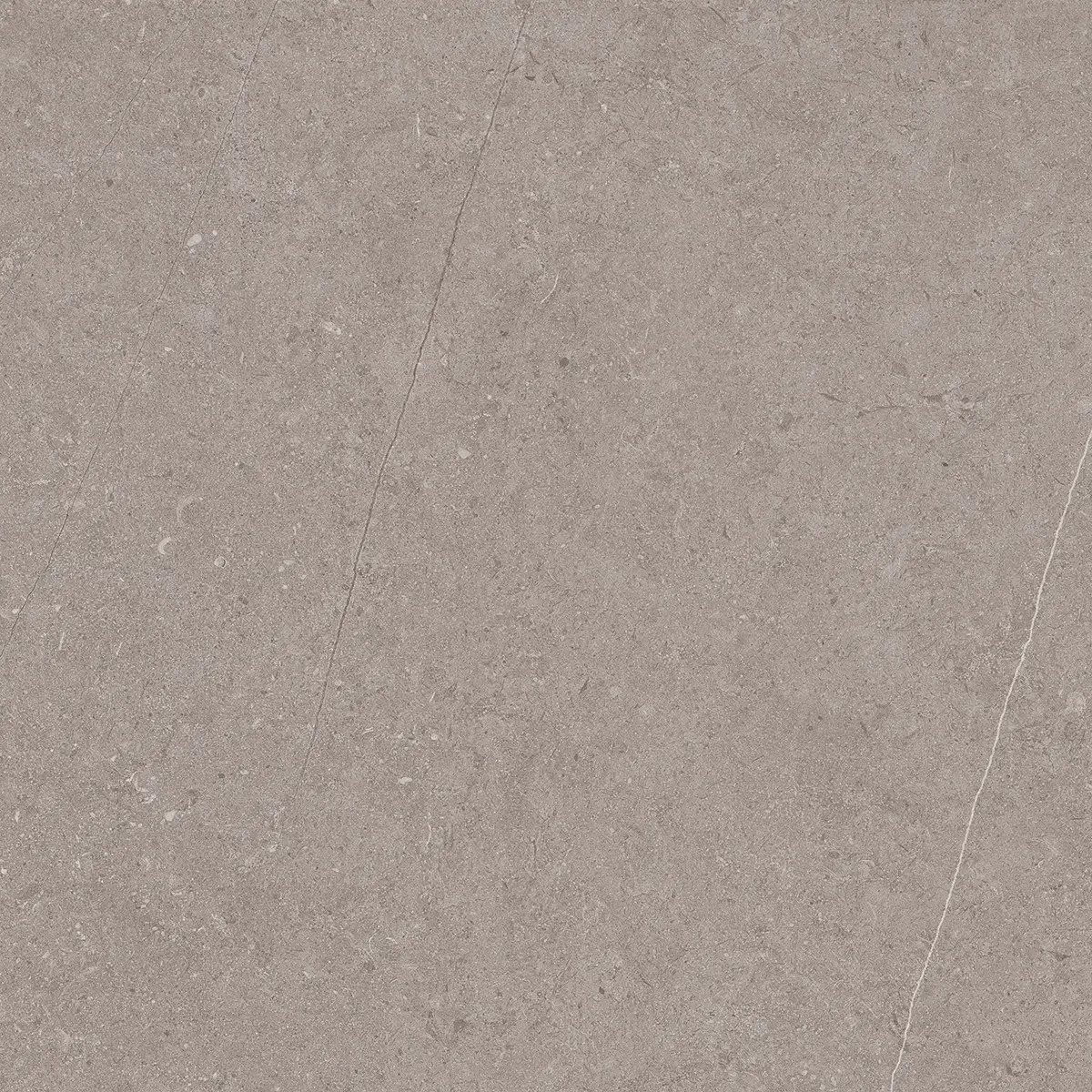Керамогранит Jura Grey, 80×80 см, 8 мм, матовая, фото 5