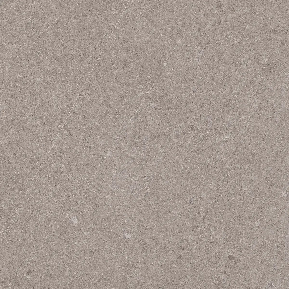 Керамогранит Jura Grey, 80×80 см, 8 мм, матовая, фото 6