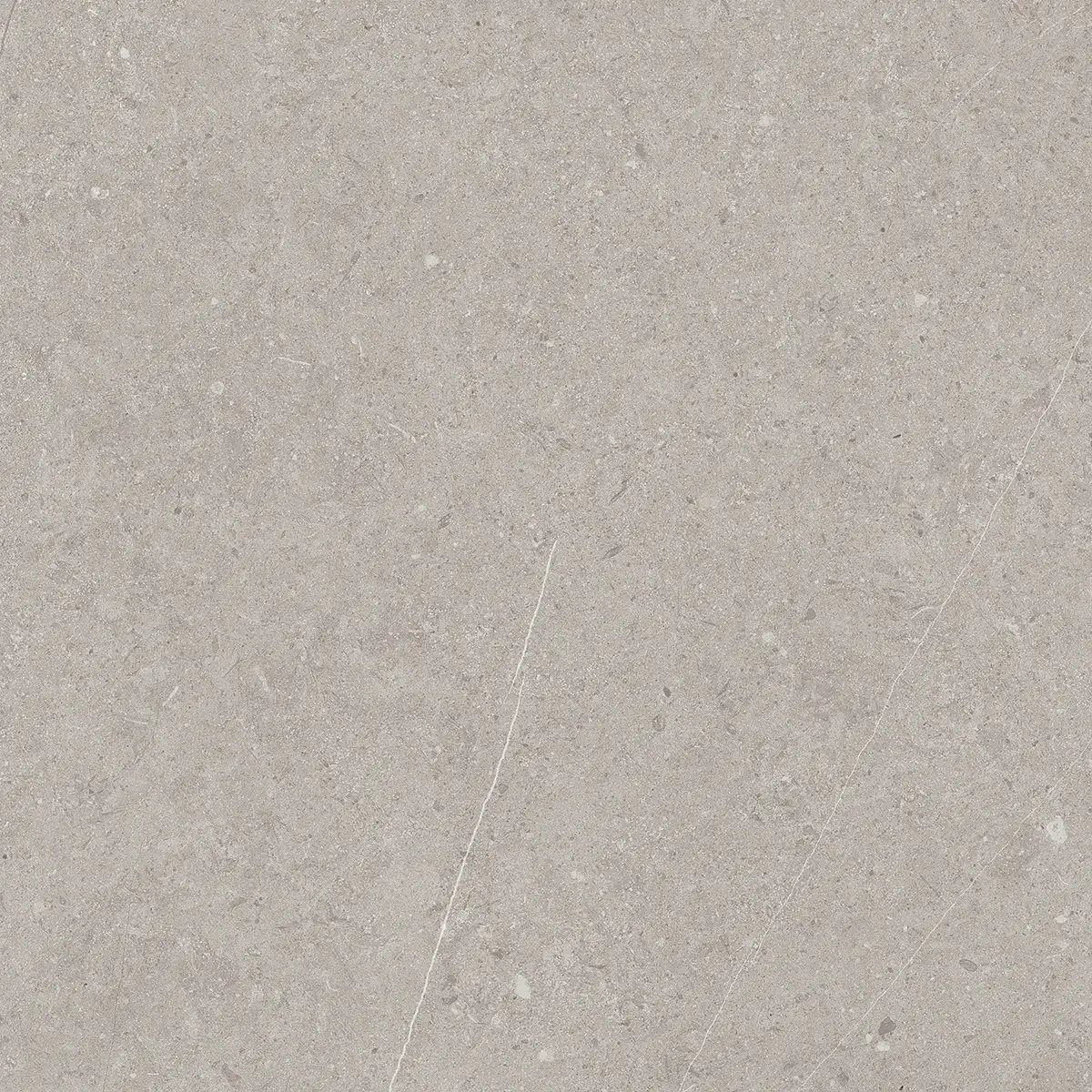 Керамогранит Jura Light Grey, 80×80 см, 8 мм, матовая, фото 2
