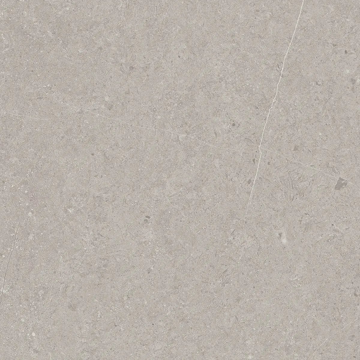 Керамогранит Jura Light Grey, 80×80 см, 8 мм, матовая, фото 3