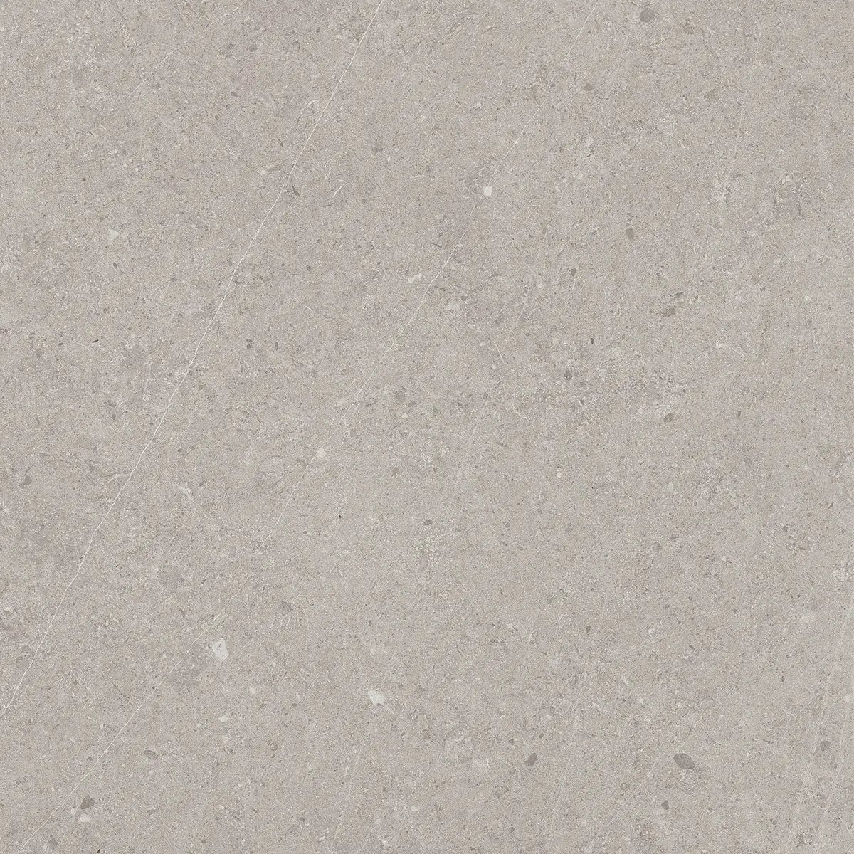 Керамогранит Jura Light Grey, 80×80 см, 8 мм, матовая, фото 5
