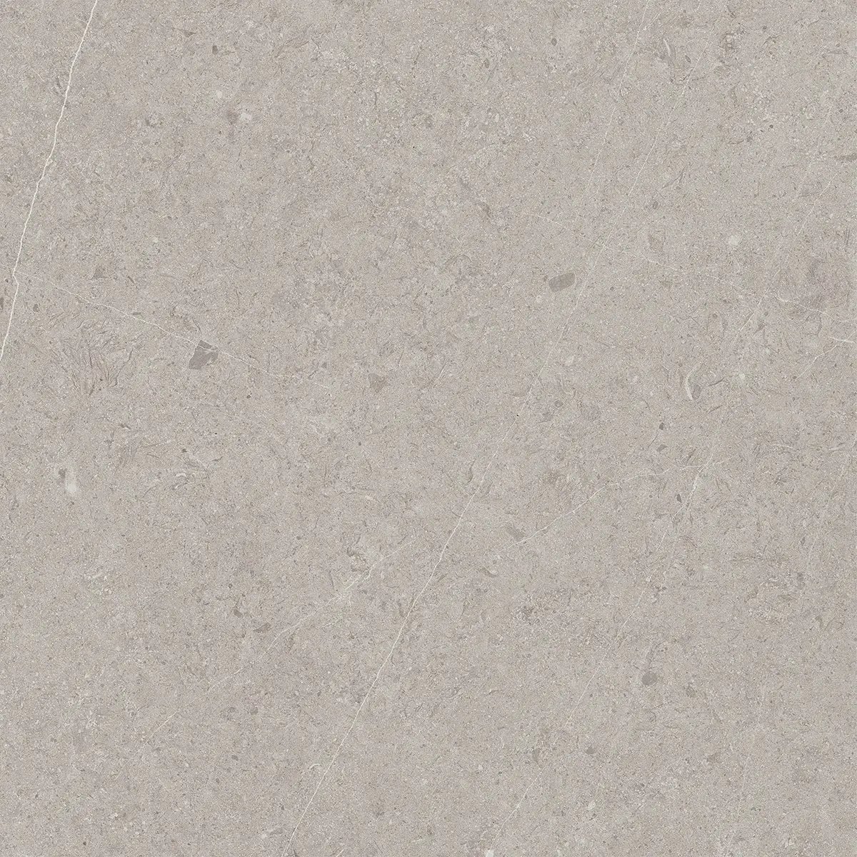 Керамогранит Jura Light Grey, 80×80 см, 8 мм, матовая, фото 6