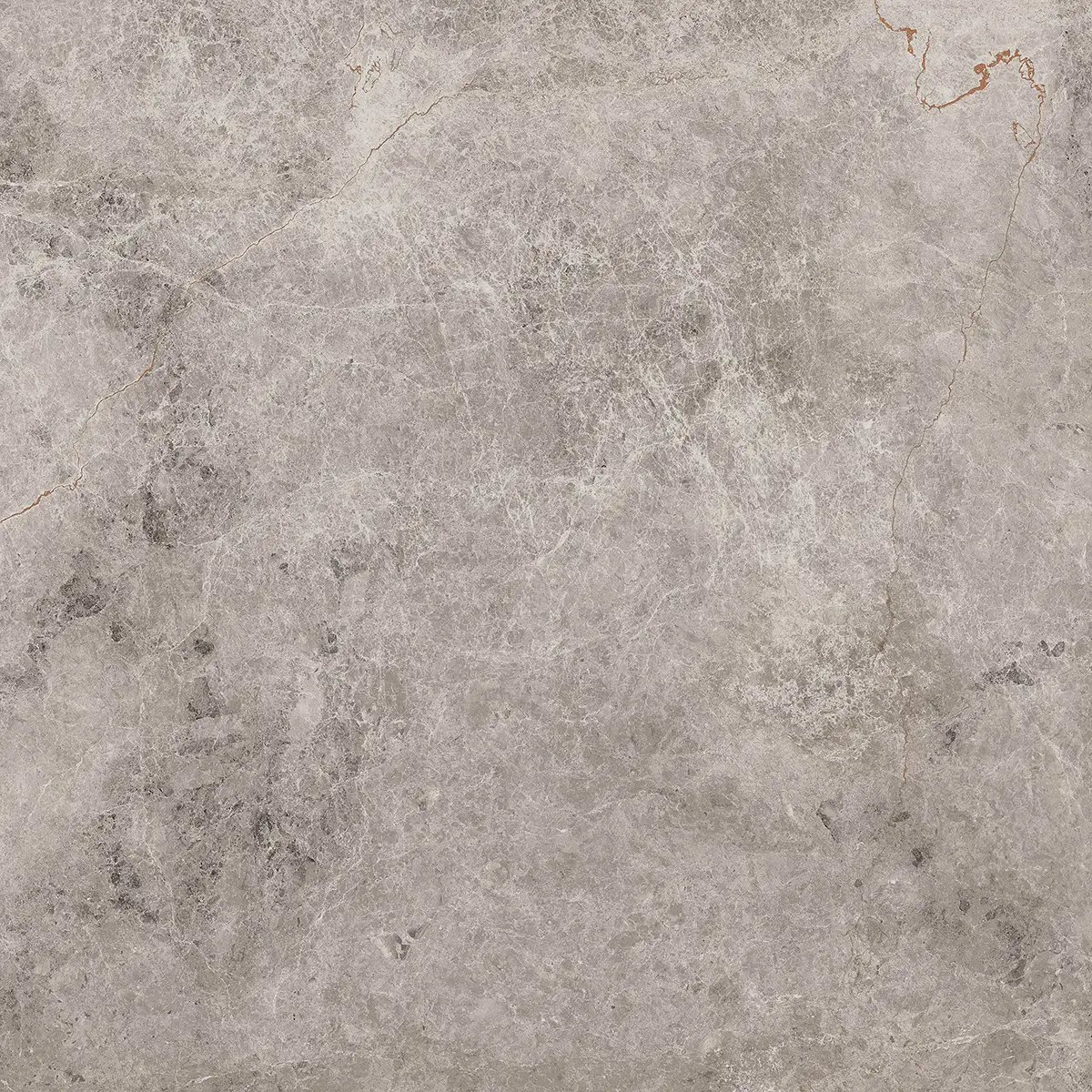 Керамогранит Lidya, 60×60 см, 8 мм, матовая, фото 28