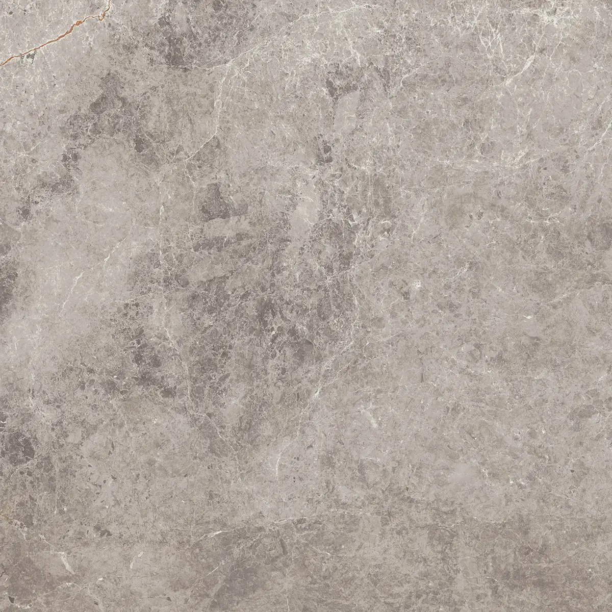 Керамогранит Lidya, 60×60 см, 8 мм, матовая, фото 22