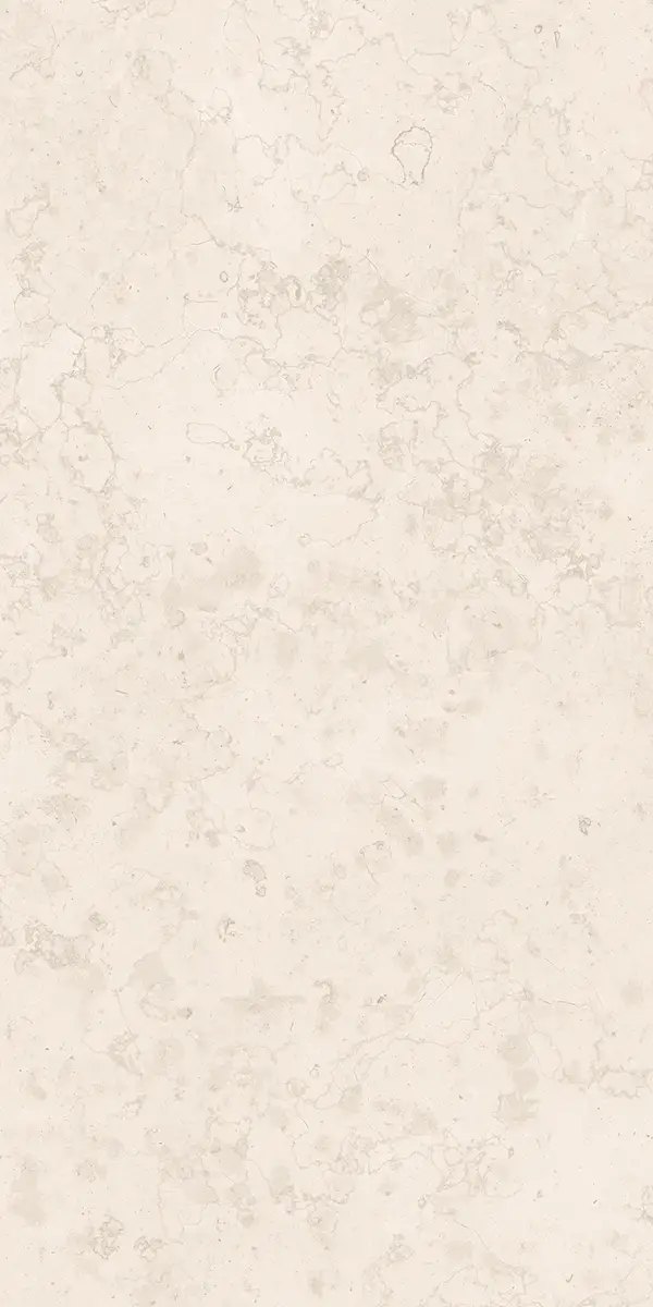 Керамогранит Luce Bone, 60×120 см, 8 мм, матовая (DF), фото 12