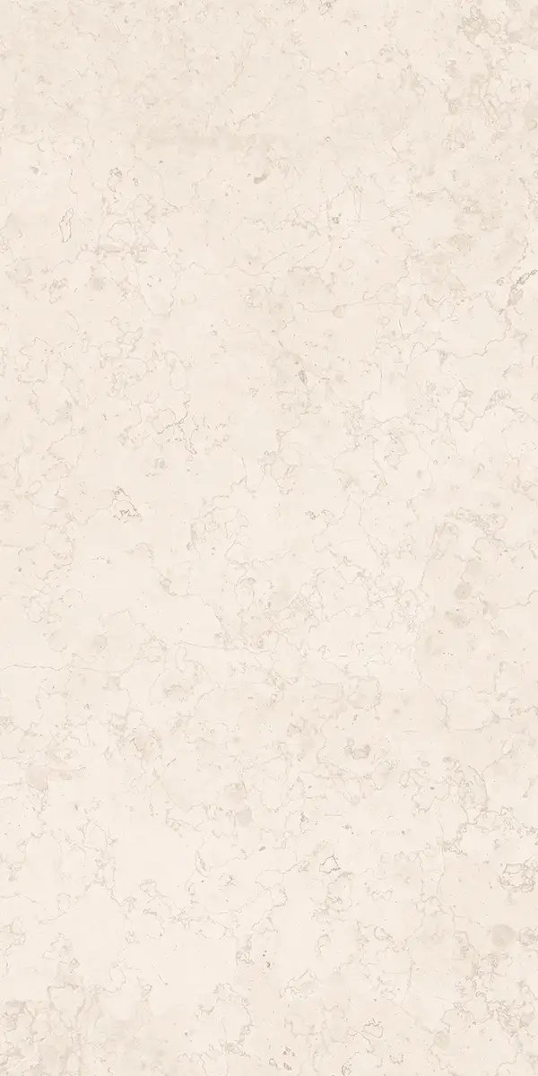 Керамогранит Luce Bone, 60×120 см, 8 мм, матовая (DF), фото 14