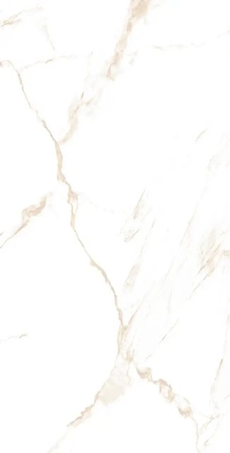 Naos Gold, фото 3