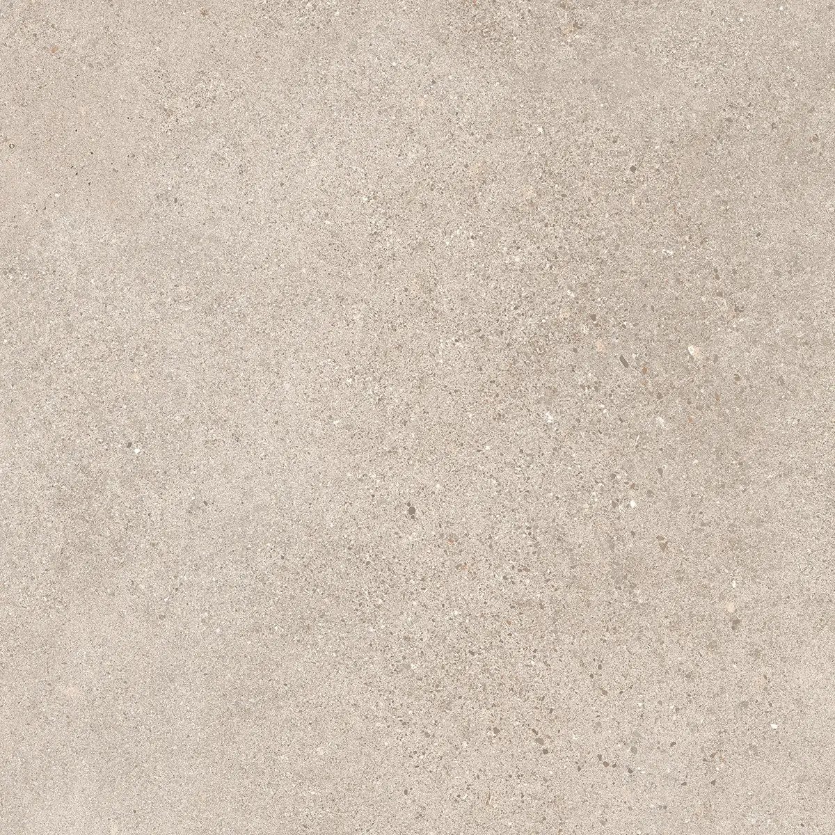 Керамогранит Octavia Bone, 30×60 см, 9 мм, матовая, фото 27