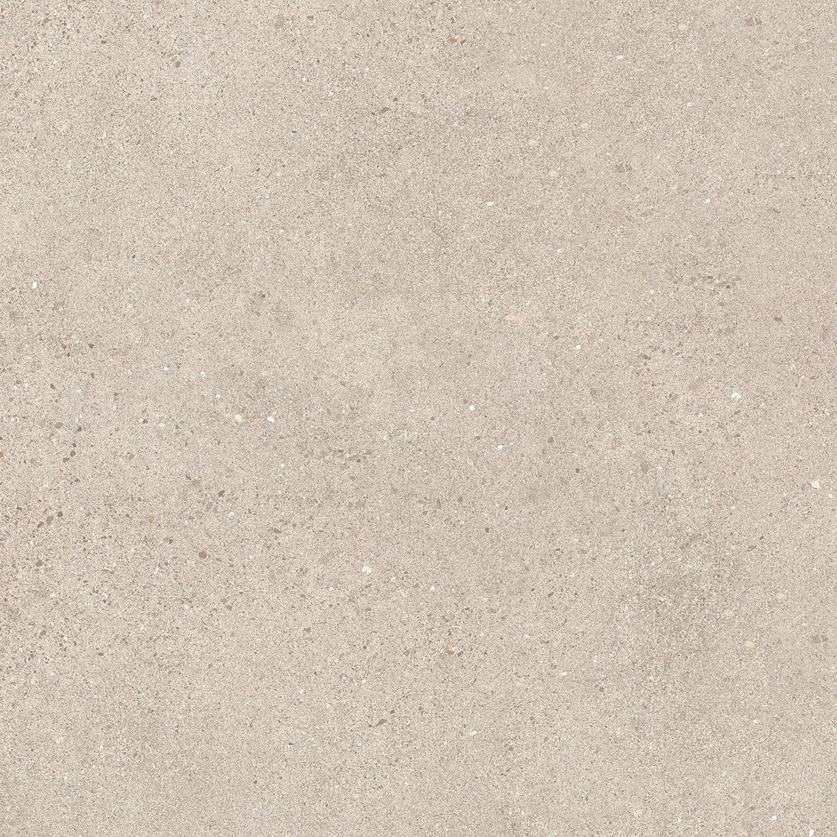 Керамогранит Octavia Bone, 30×60 см, 9 мм, матовая, фото 4