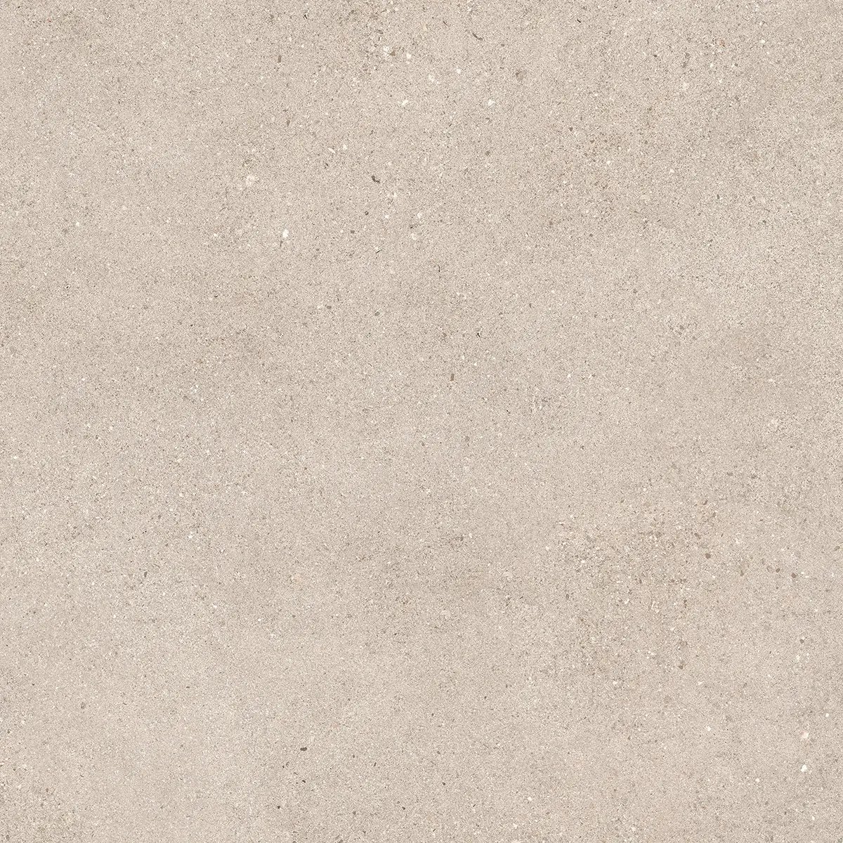 Керамогранит Octavia Bone, 30×60 см, 9 мм, матовая, фото 49