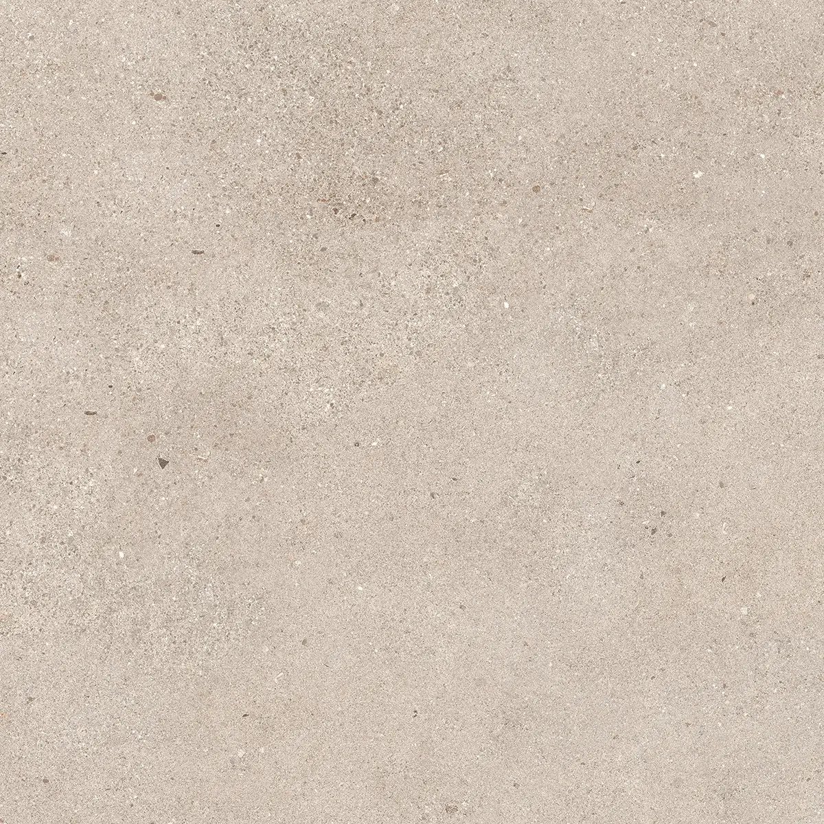 Керамогранит Octavia Bone, 30×60 см, 9 мм, матовая, фото 51