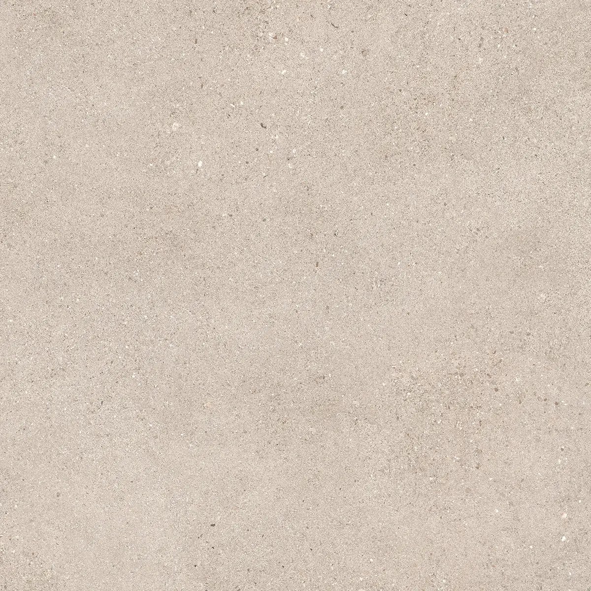 Керамогранит Octavia Bone, 30×60 см, 9 мм, матовая, фото 30