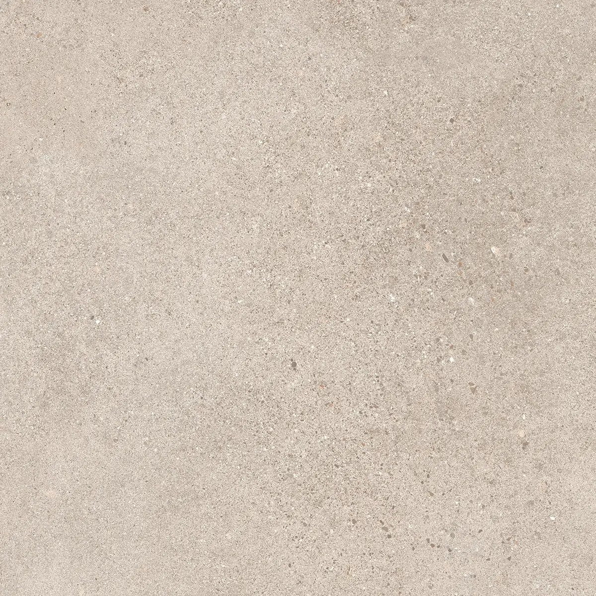 Керамогранит Octavia Bone, 30×60 см, 9 мм, матовая, фото 31