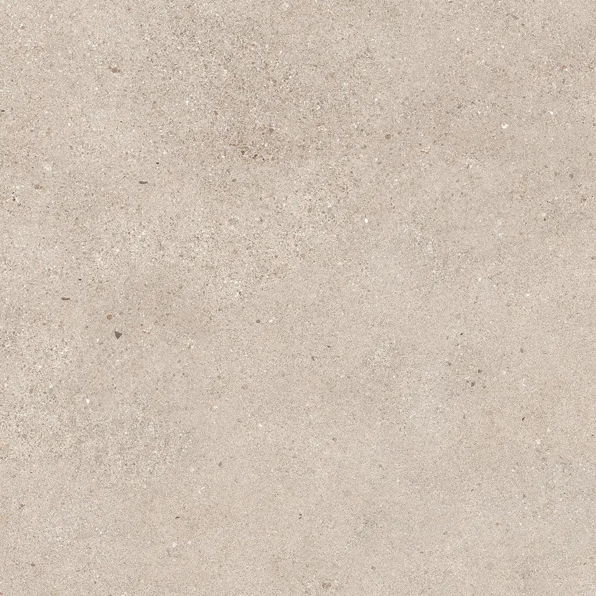 Керамогранит Octavia Bone, 30×60 см, 9 мм, матовая, фото 32