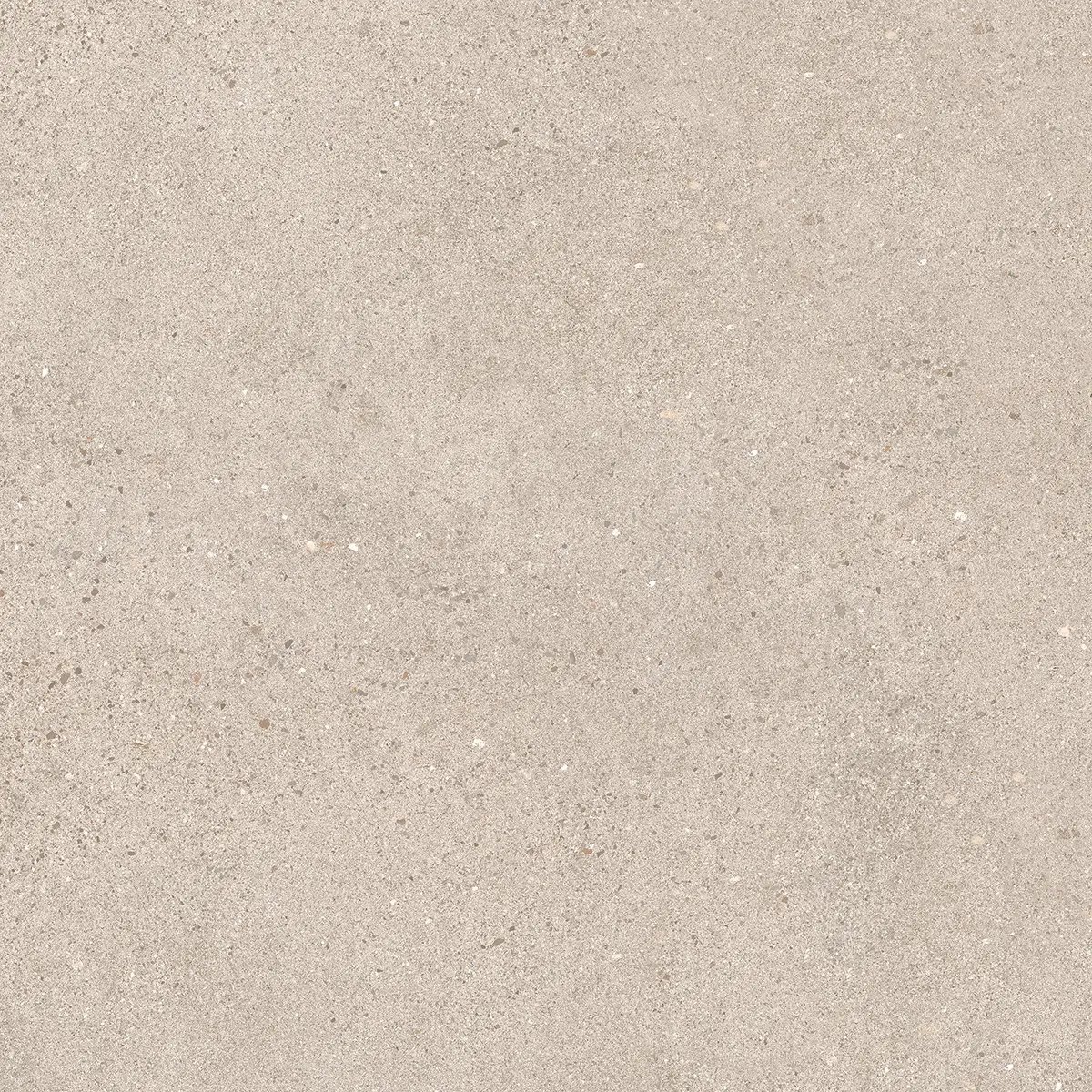 Керамогранит Octavia Bone, 30×60 см, 9 мм, матовая, фото 5