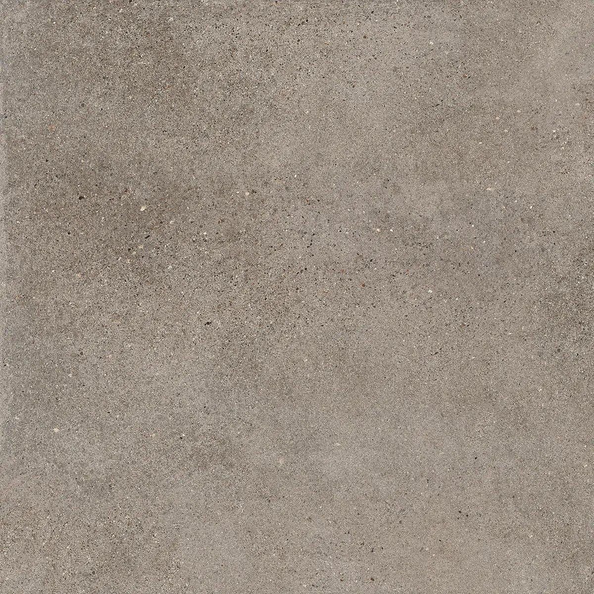 Керамогранит Octavia Grey, 30×60 см, 9 мм, матовая, фото 27