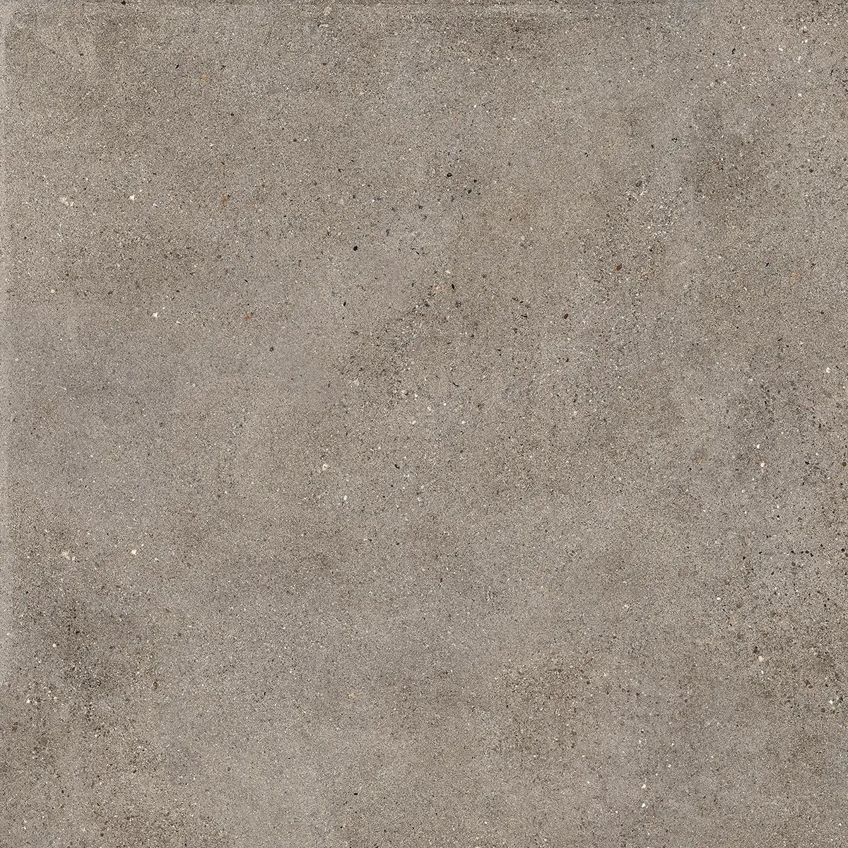 Керамогранит Octavia Grey, 30×60 см, 9 мм, матовая, фото 28