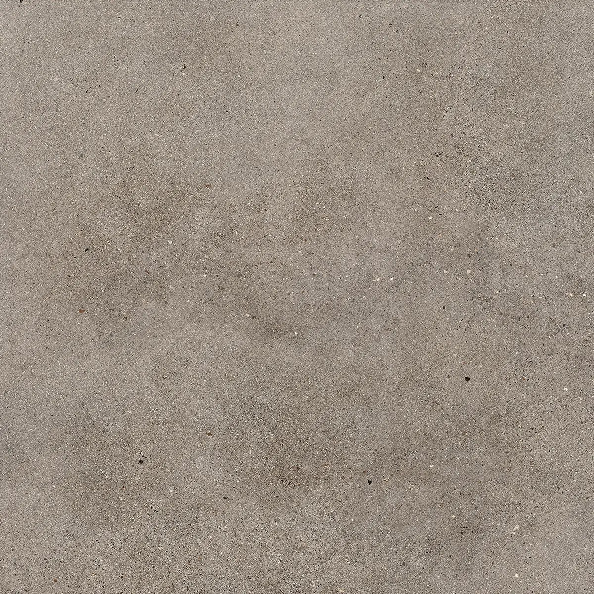 Керамогранит Octavia Grey, 30×60 см, 9 мм, матовая, фото 29