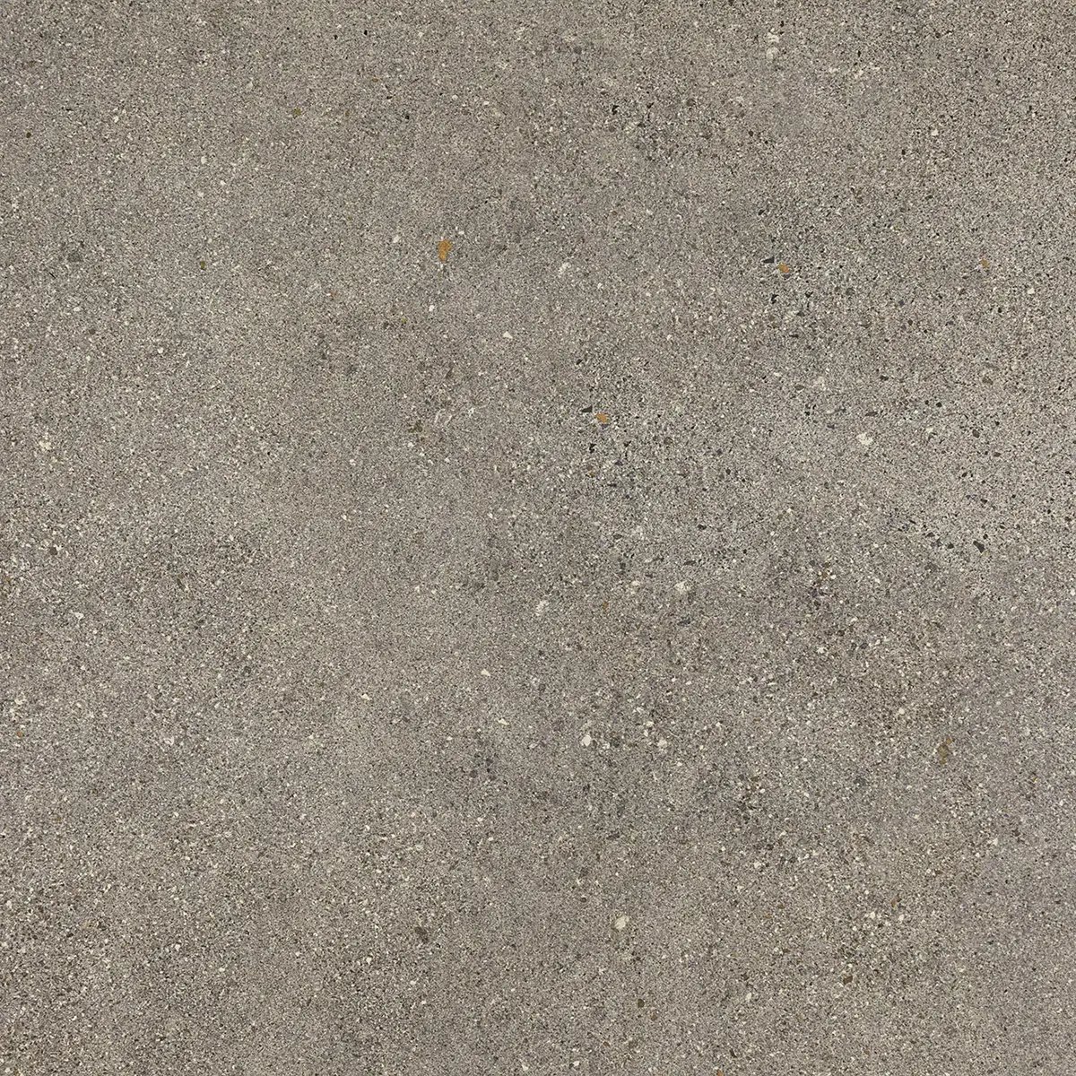 Керамогранит Octavia Grey, 30×60 см, 9 мм, матовая, фото 5
