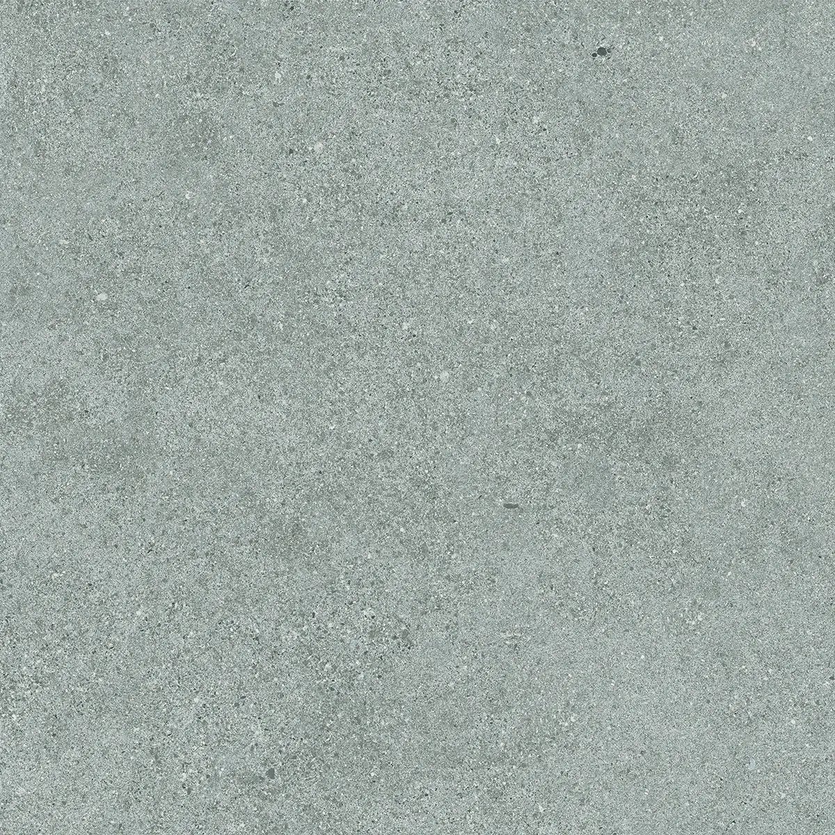 Керамогранит Octavia Grey, 30×60 см, 9 мм, матовая, фото 11
