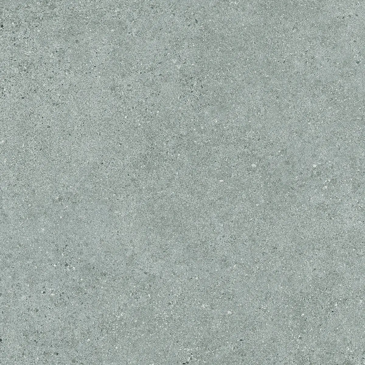 Керамогранит Octavia Grey, 30×60 см, 9 мм, матовая, фото 13