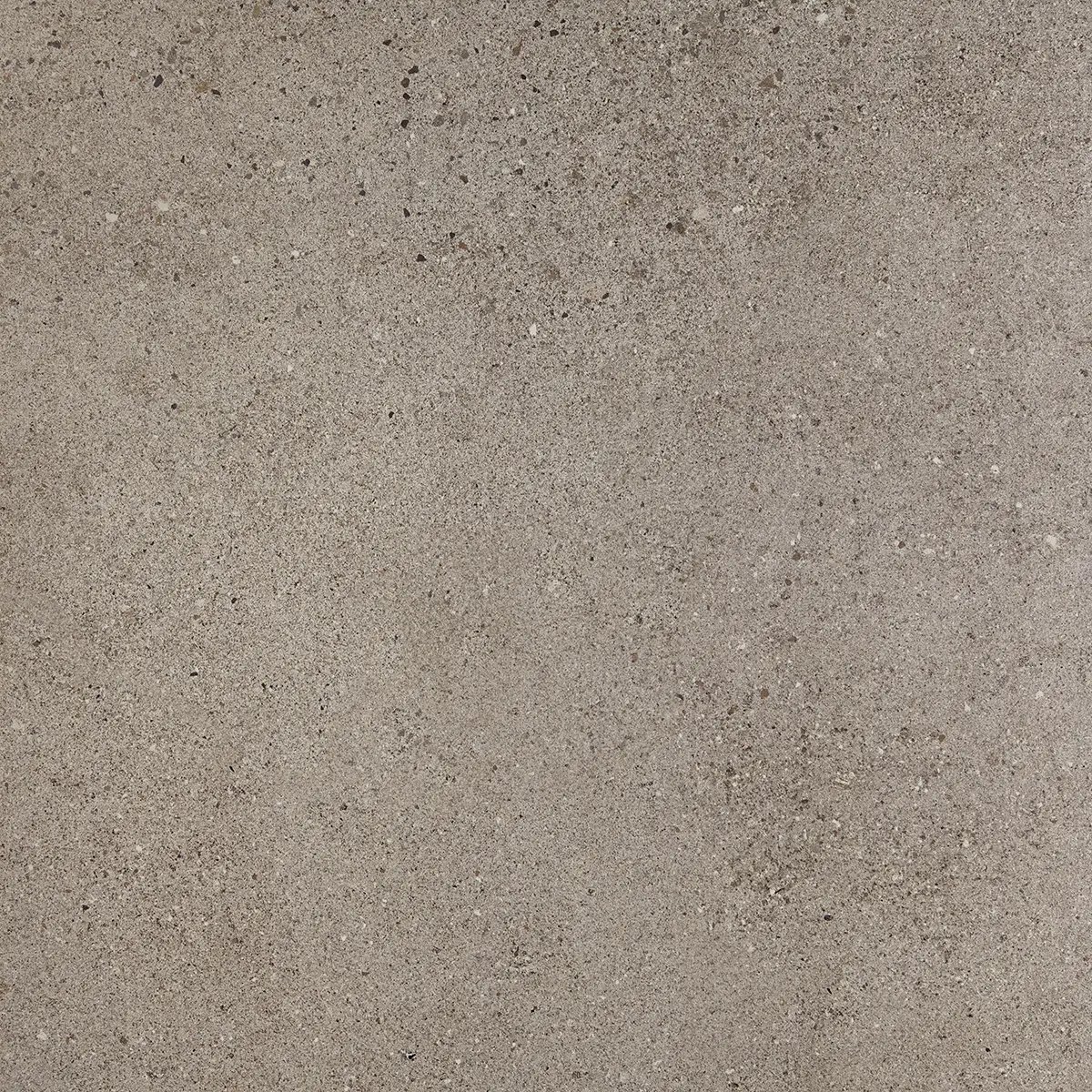 Керамогранит Octavia Grey, 30×60 см, 9 мм, матовая, фото 21