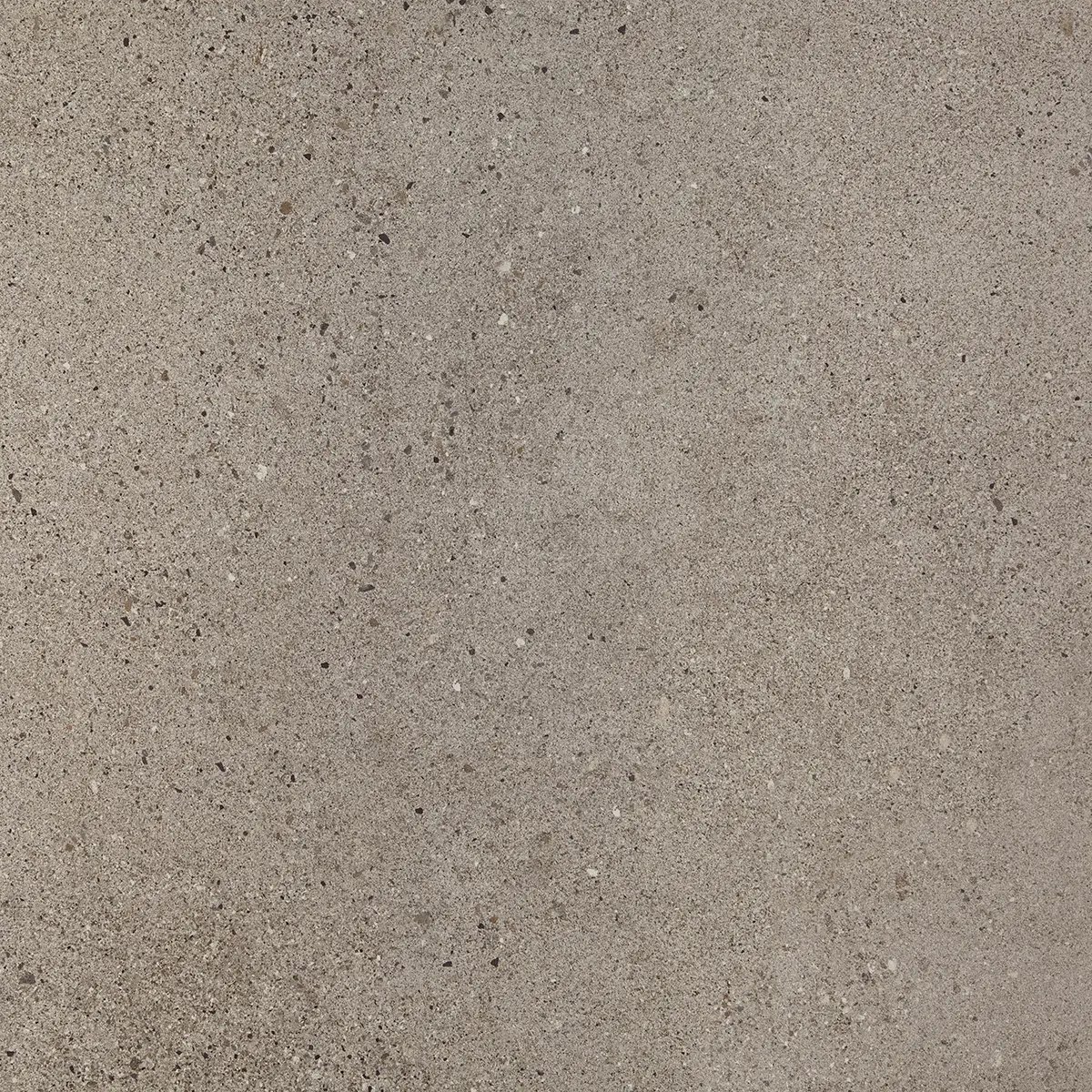 Керамогранит Octavia Grey, 30×60 см, 9 мм, матовая, фото 22