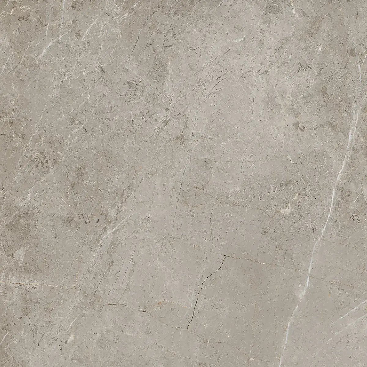 Керамогранит Olimpia Latte, 120×120 см, 8.5 мм, полированная (нано), фото 2