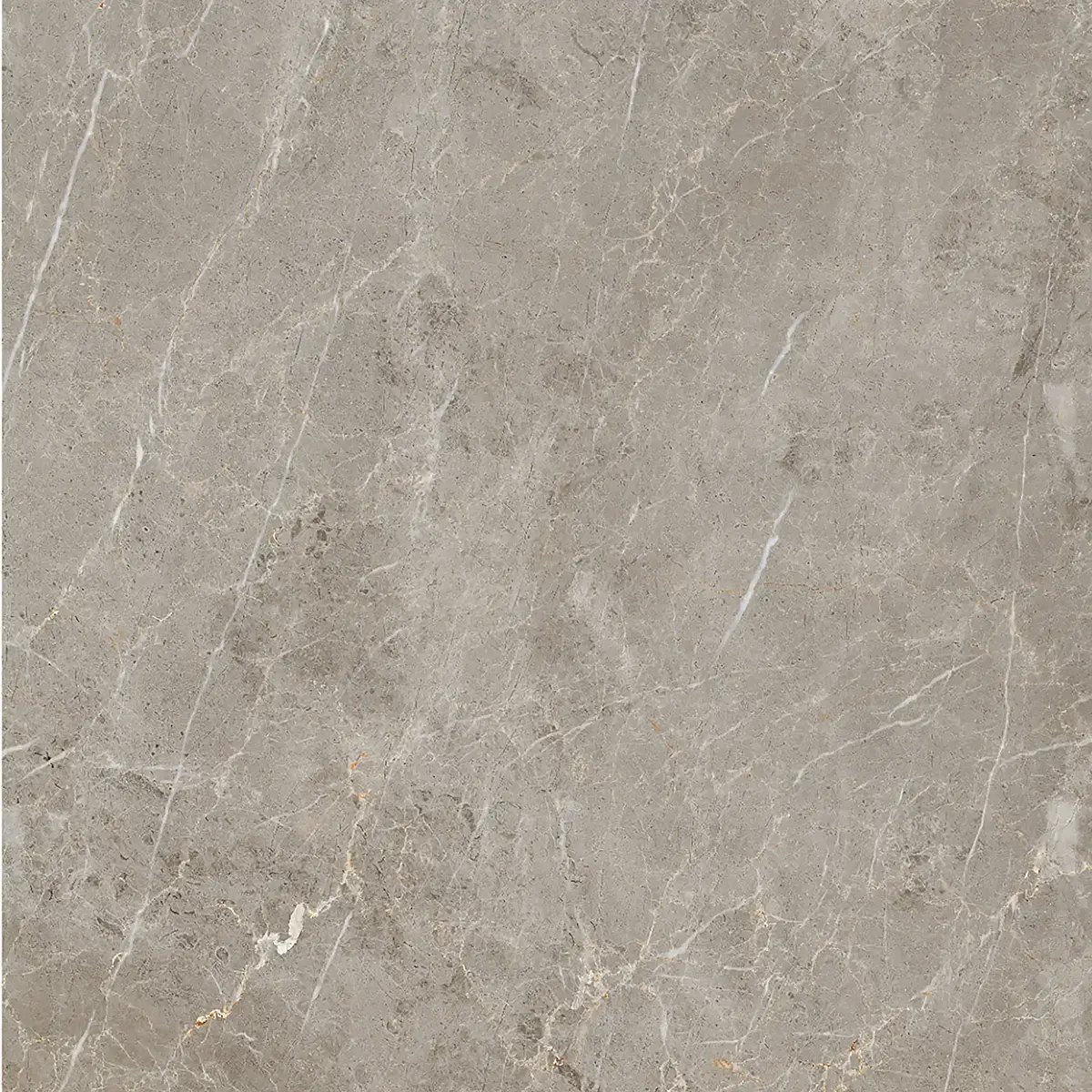 Керамогранит Olimpia Latte, 120×120 см, 8.5 мм, полированная (нано), фото 4