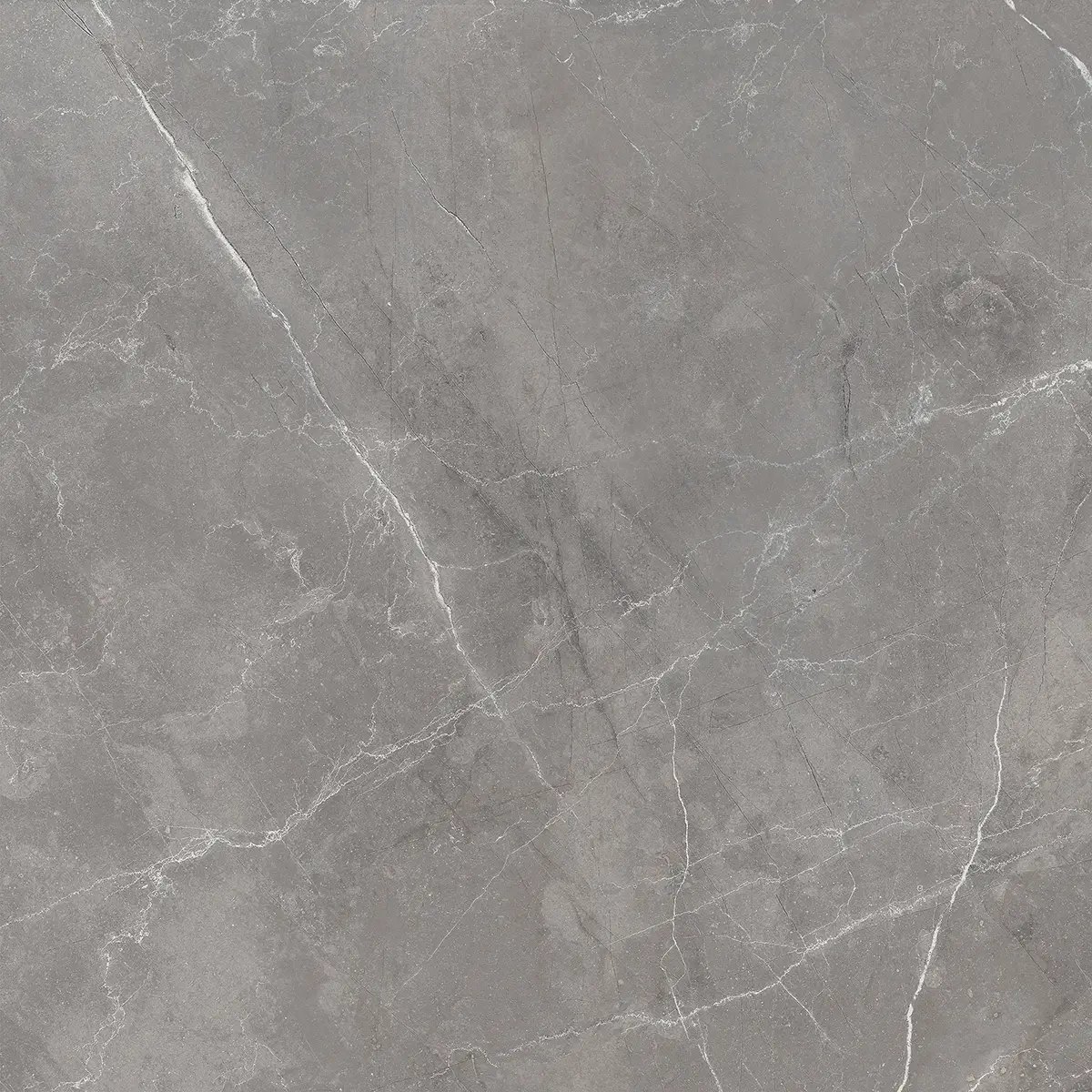 Керамогранит Royal Pulpis Grey, 60×60 см, 8 мм, полированная (нано), фото 3