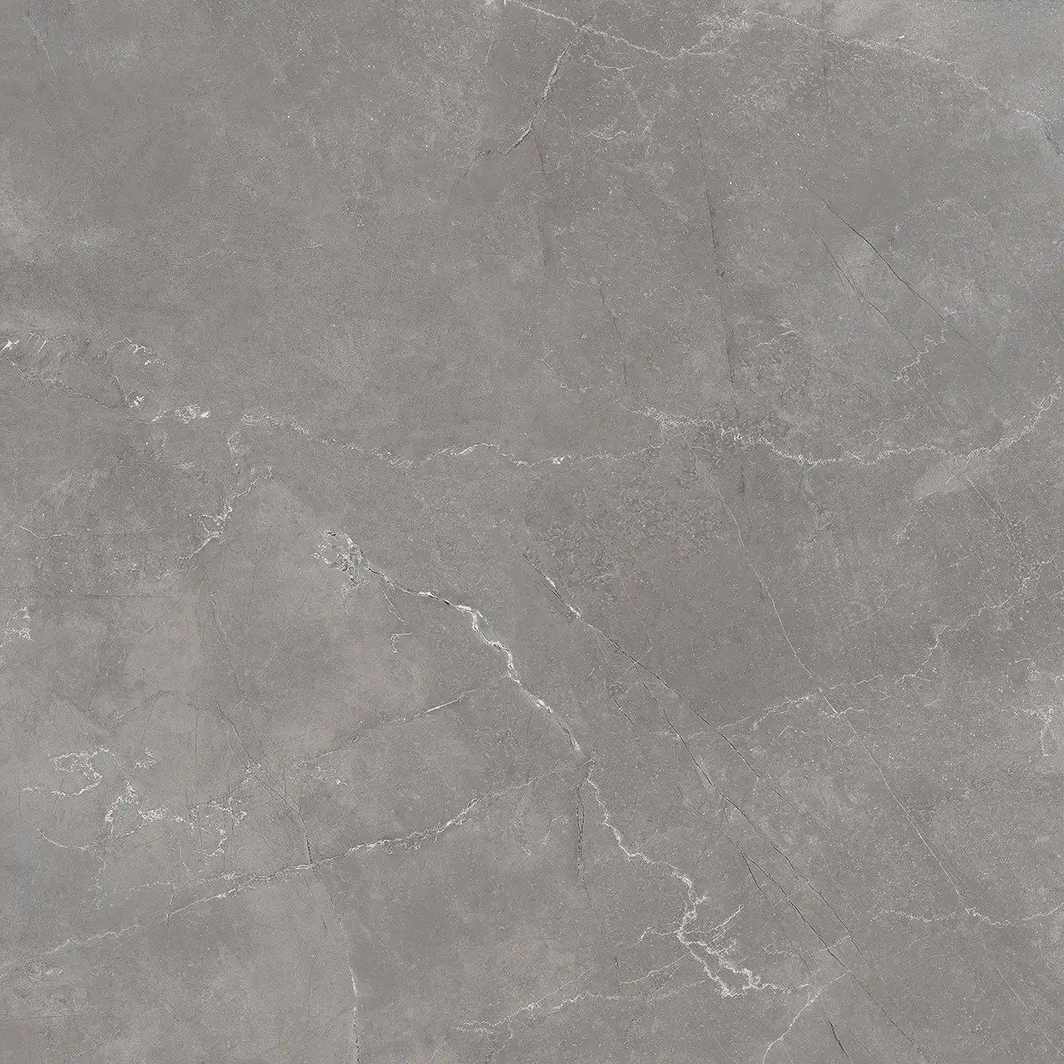 Керамогранит Royal Pulpis Grey, 60×60 см, 8 мм, полированная (нано), фото 4