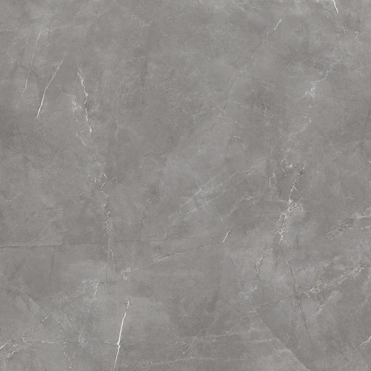 Керамогранит Royal Pulpis Grey, 60×60 см, 8 мм, полированная (нано), фото 2
