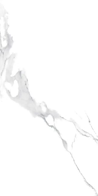 Saga White