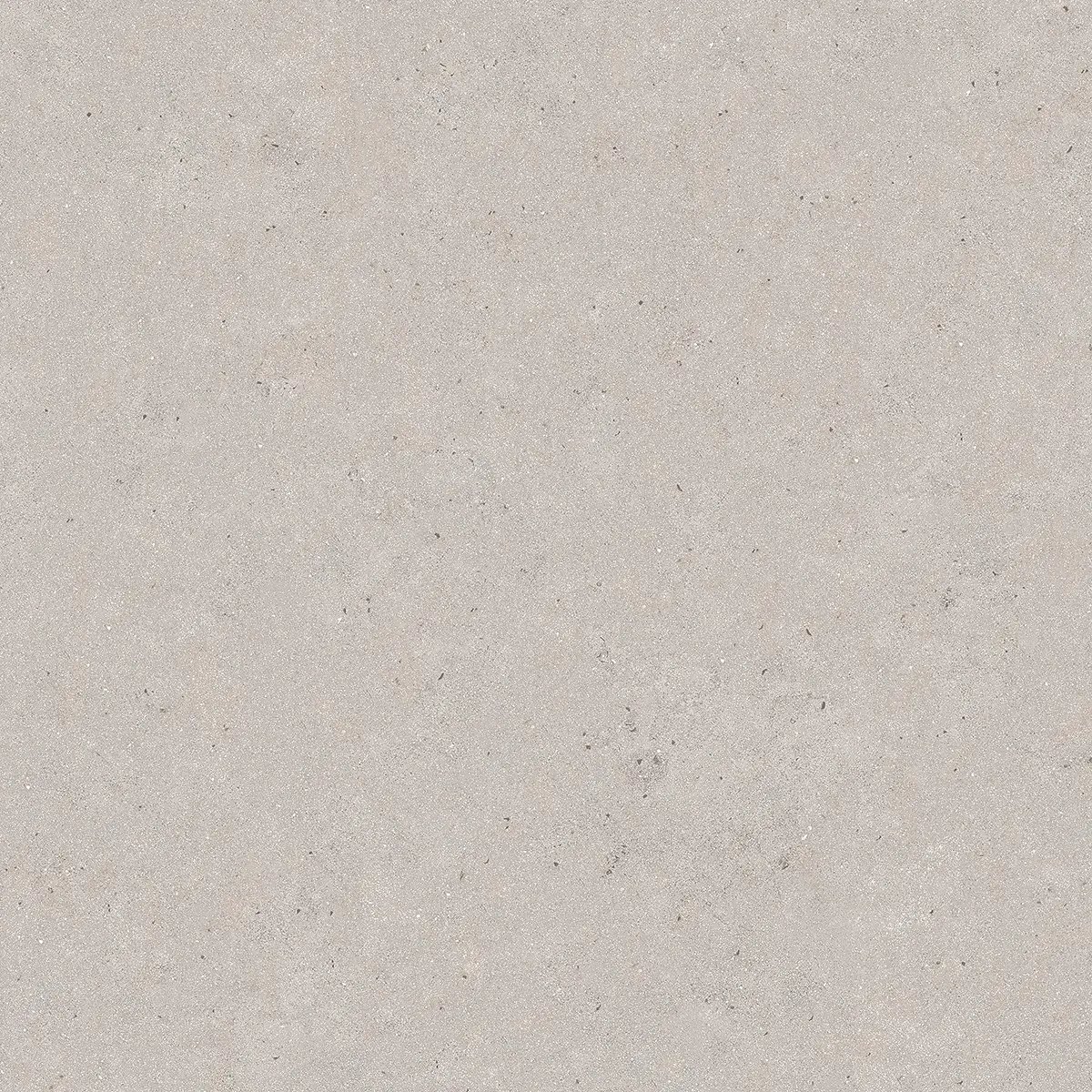 Керамогранит Sahara Grey, 120×120 см, 8.5 мм, матовая, фото 2