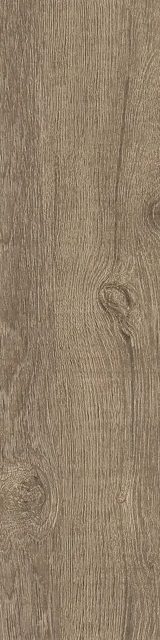 Sedir Oak, фото 4