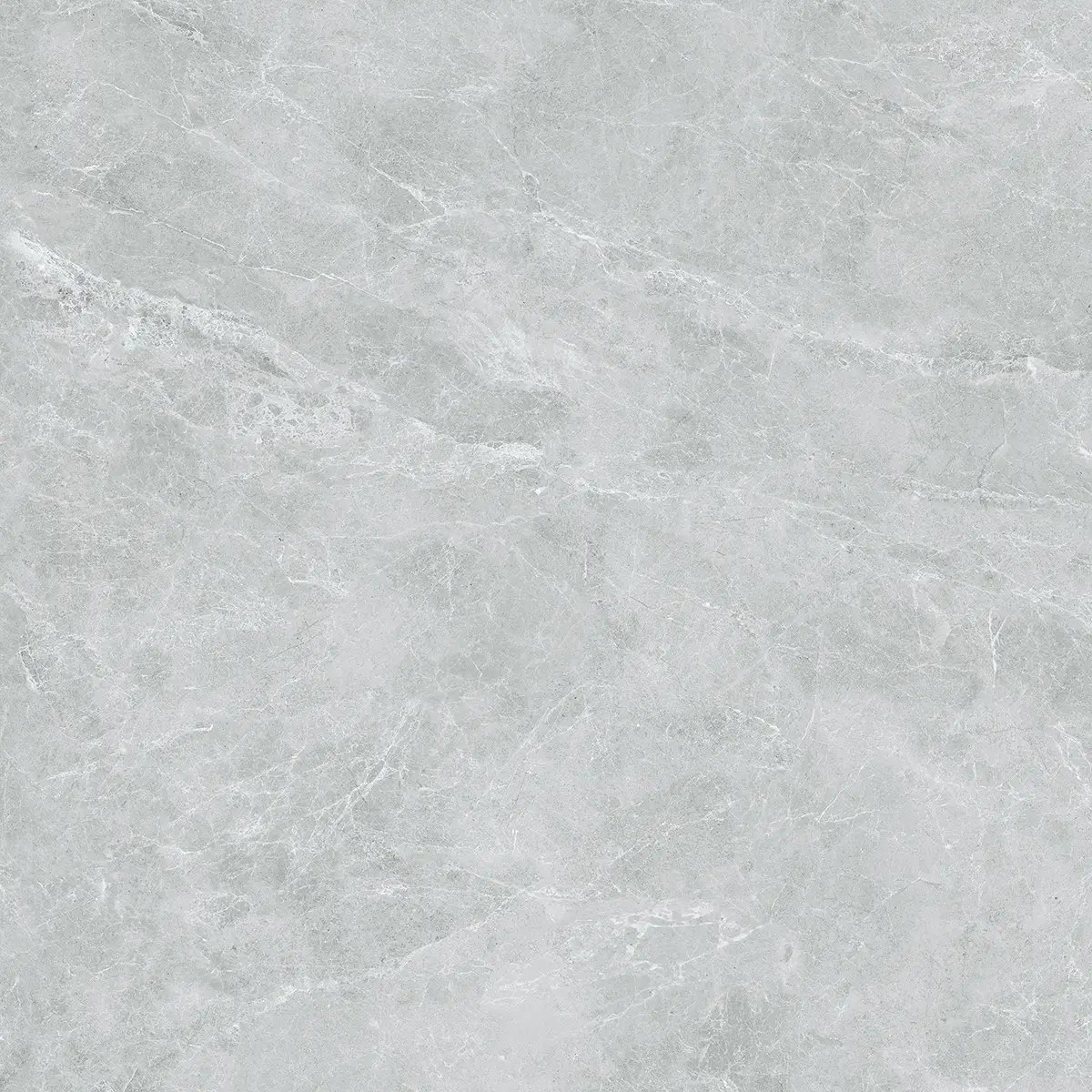 Керамогранит Swan Grey, 60×120 см, 8 мм, полированная (нано), фото 35