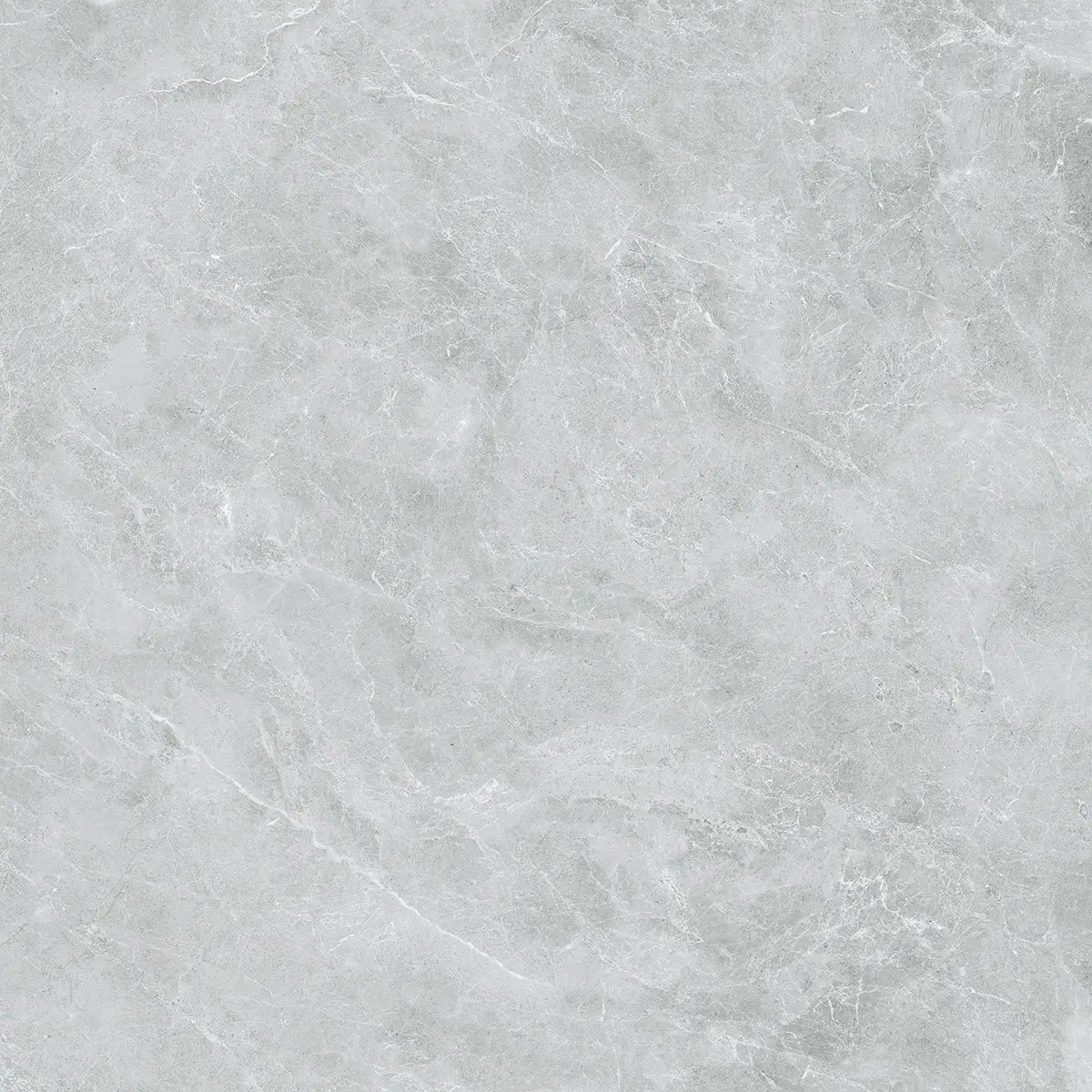 Керамогранит Swan Grey, 60×120 см, 8 мм, полированная (нано), фото 37