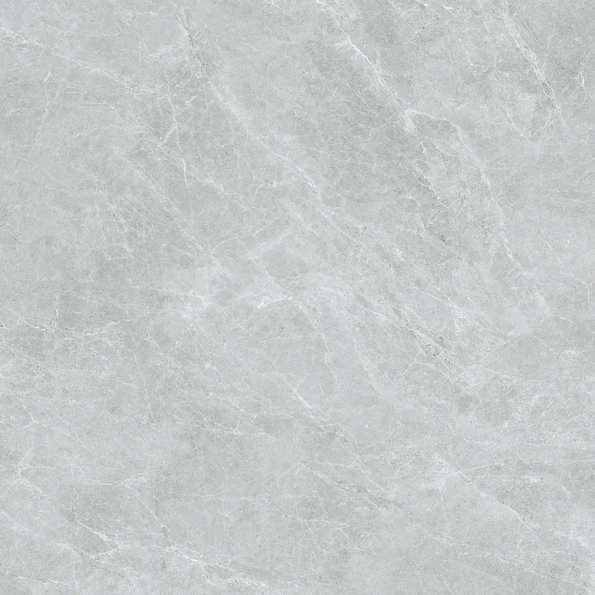 Керамогранит Swan Grey, 60×120 см, 8 мм, полированная (нано), фото 39