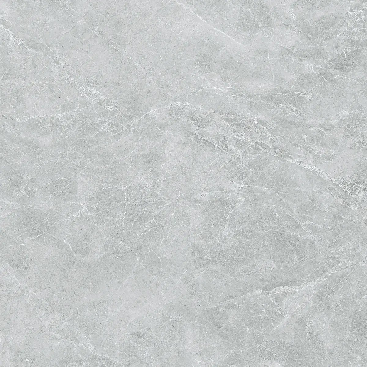 Керамогранит Swan Grey, 60×120 см, 8 мм, полированная (нано), фото 40