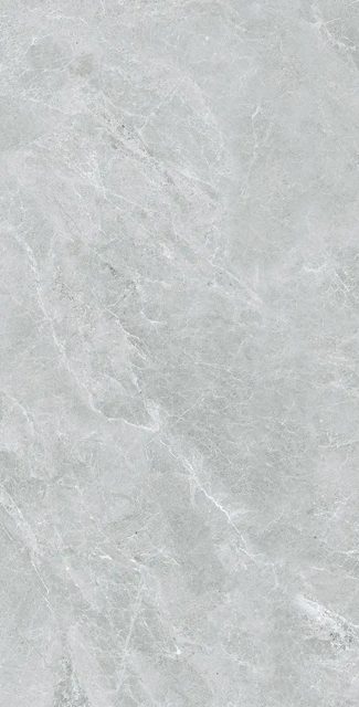 Swan Grey, фото 6