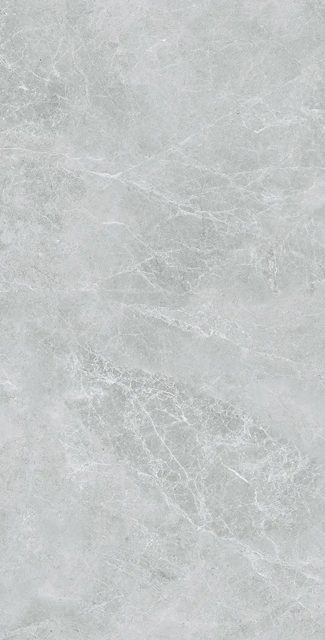 Swan Grey