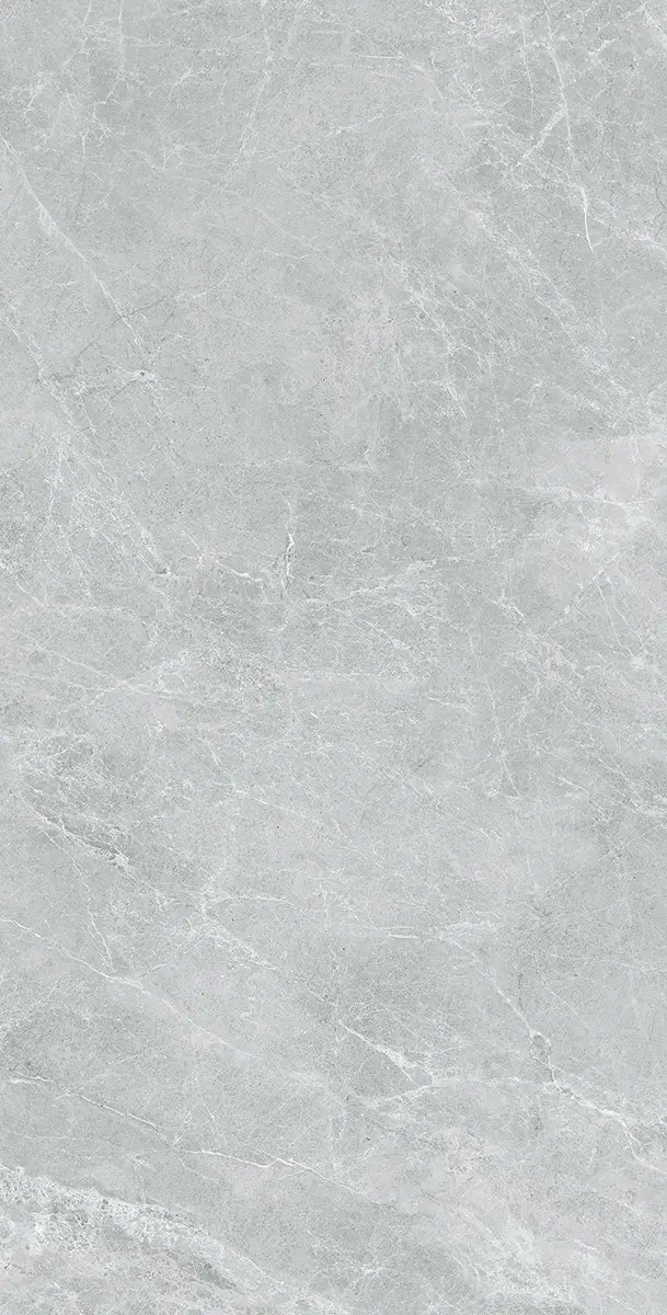 Керамогранит Swan Grey, 60×120 см, 8 мм, полированная (нано), фото 17