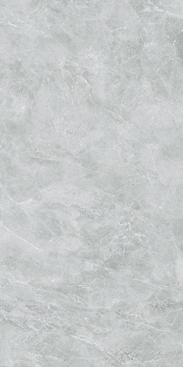 Керамогранит Swan Grey, 60×120 см, 8 мм, полированная (нано), фото 27