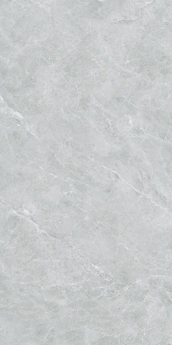 Керамогранит Swan Grey, 60×120 см, 8 мм, полированная (нано), фото 29