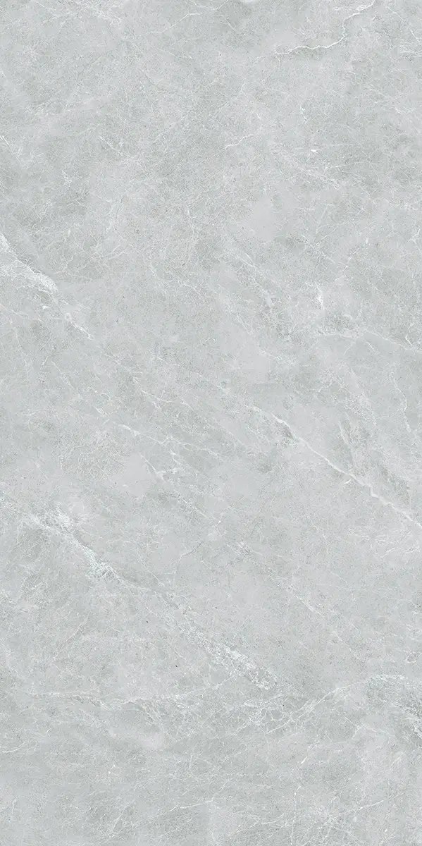 Керамогранит Swan Grey, 60×120 см, 8 мм, полированная (нано), фото 24