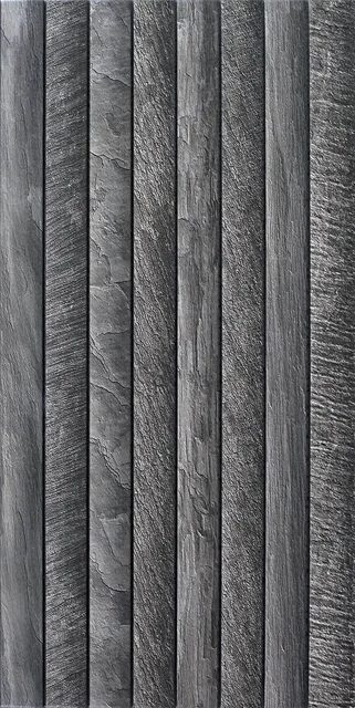 Terra Carbon, фото 2
