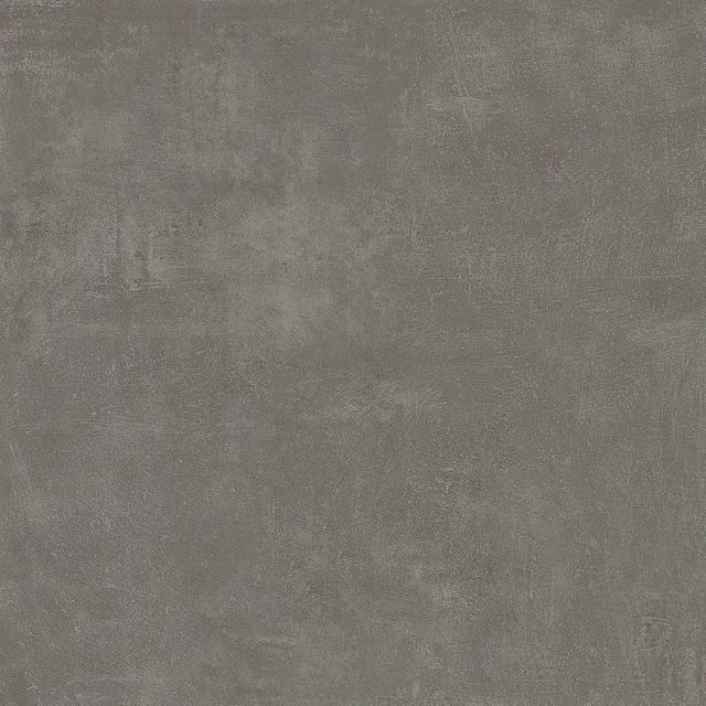 Tortuga Anthracite, фото 5